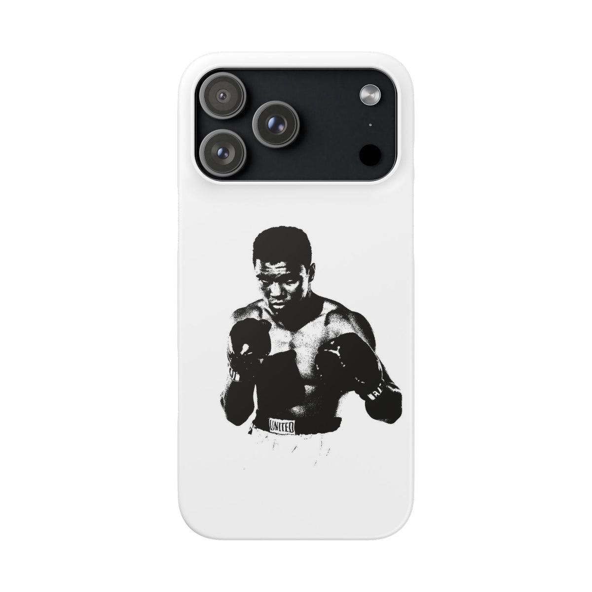 Boxing – iPhone 17 Pro Max